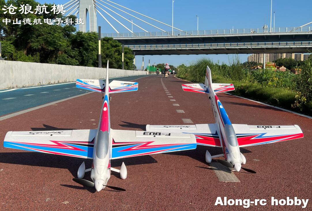 F803  F3A Skylarks 1000mm Wing - Outdoor Sport Hobbies review and price