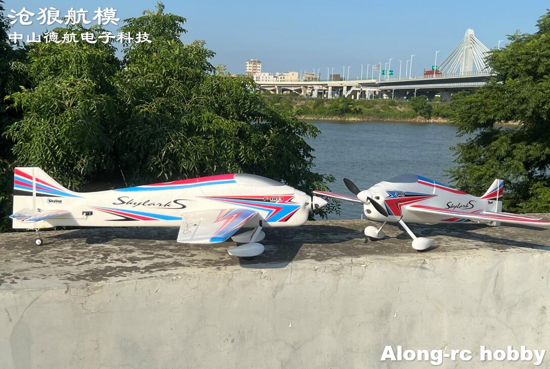 F803  F3A Skylarks 1000mm Wing - Outdoor Sport Hobbies review and price